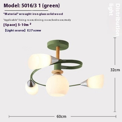 Ceiling Light Simple Restaurant Iron Droplight