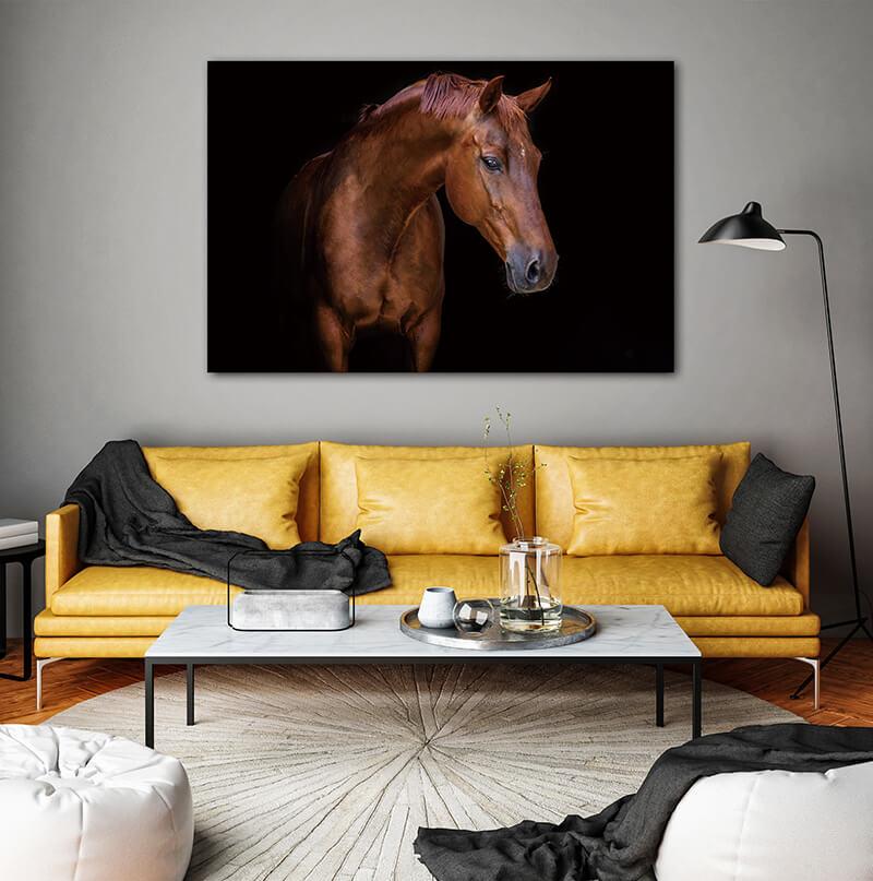 Nobility Acrylic Horse Print Wall Art