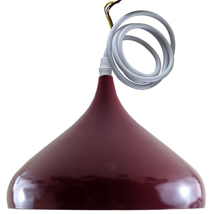 Ceiling Teardrop pendant light shade dome ~3735