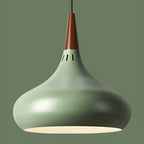 Modern Single Head Aluminum Alloy Pendant Light