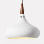 Modern Single Head Aluminum Alloy Pendant Light