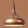 Modern Single Head Aluminum Alloy Pendant Light