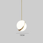 Modern Iron Single Head Pendant Chandelier