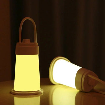 2 In 1 Desktop Ambient Light Portable Rechargeable