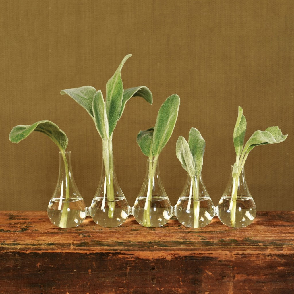 Set of Five Clear Bud Cojoined Glass Table Vases