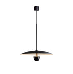 Modern Minimalist Black Pendant Chandelier