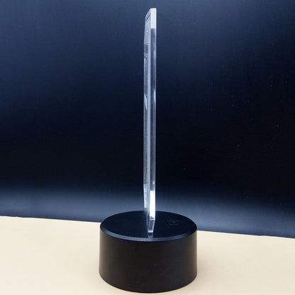 Colors Changing Horse Light