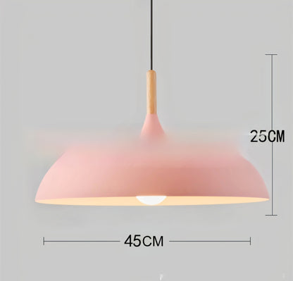 Modern Minimalist And Personalized Single Headed Restaurant Chandelier