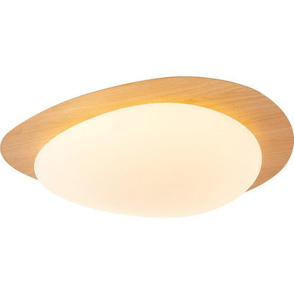 New Chinese Master Bedroom Iron Eye Protection Ceiling Lamp