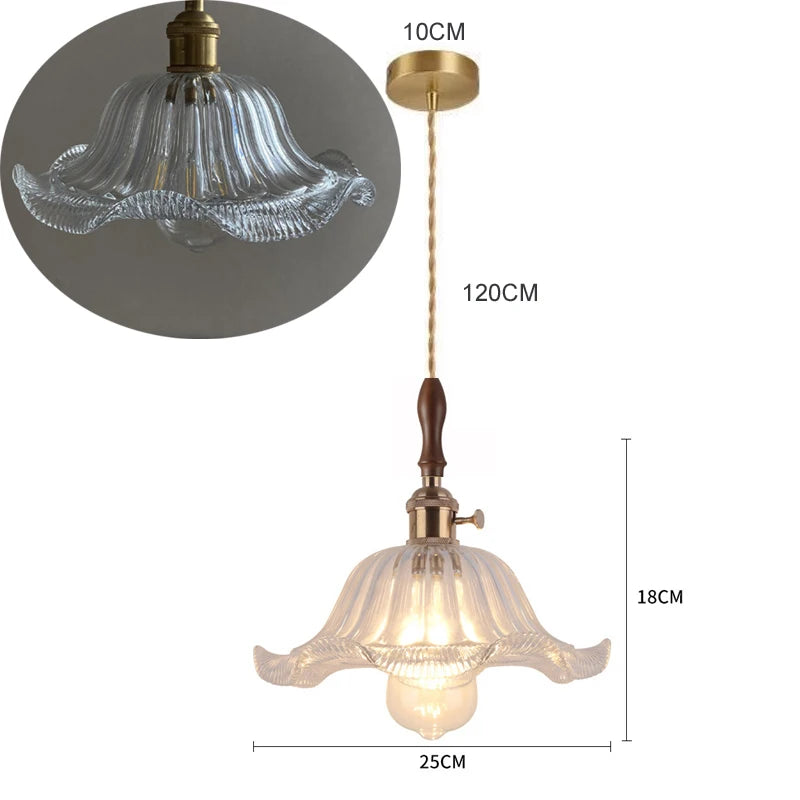Frosted Glass Pendant Ceiling Light with Iron Finish