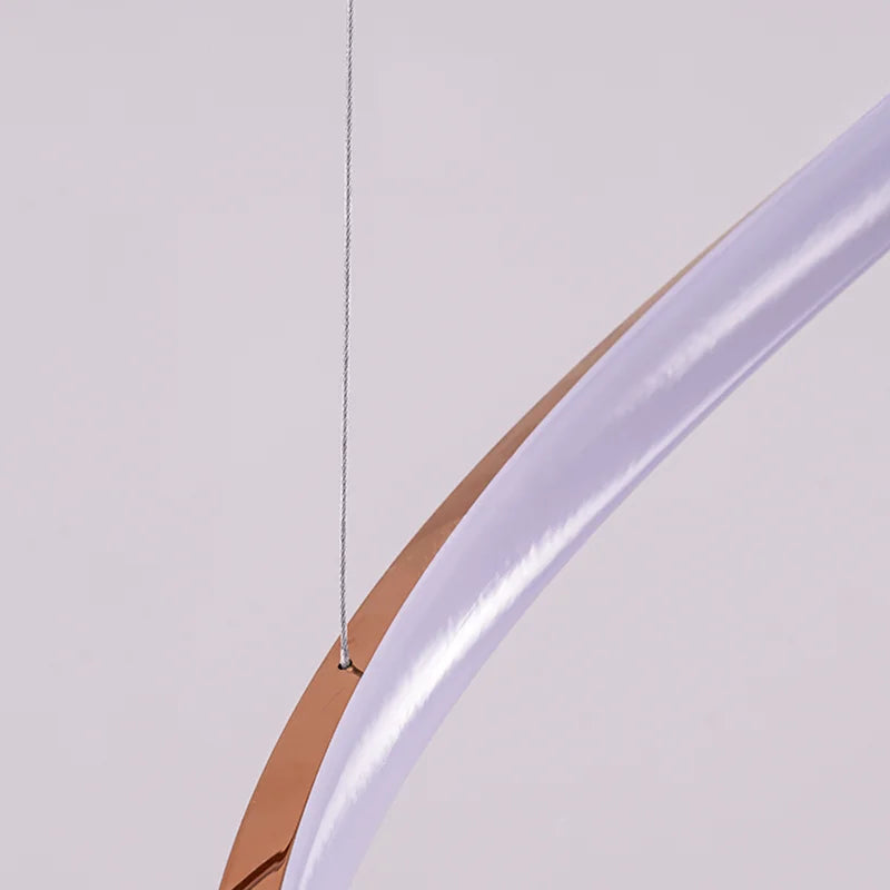Modern LED Pendant Light with Twisted Metal Arms