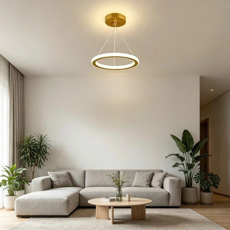 Nordic Iron Pendant Light with LED Ring Design
