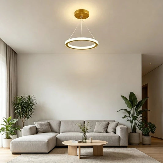Nordic Iron Pendant Light with LED Ring Design