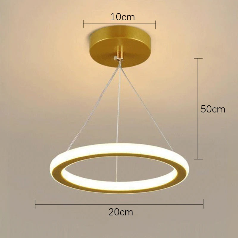 Nordic Iron Pendant Light with LED Ring Design