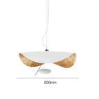 Industrial Retro Gold Pendant Light with Brass Accents