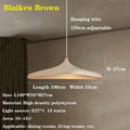 Nordic Minimalist Iron Pendant Light for Dining Room