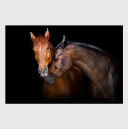 Wild Horses Acrylic Print Unframed Wall Art