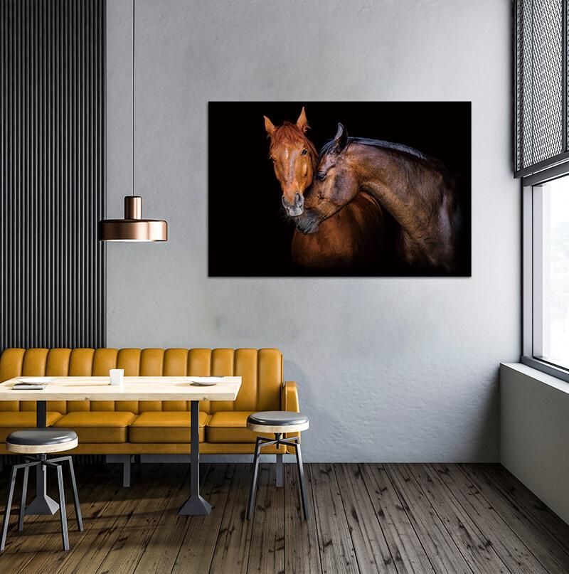 Wild Horses Acrylic Print Unframed Wall Art
