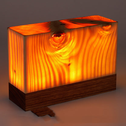 Study Desk Lamp Outdoor Camping Picnic Night