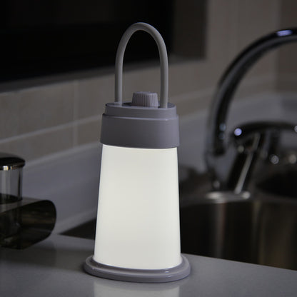 2 In 1 Desktop Ambient Light Portable Rechargeable