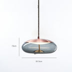 Modern Glass Pendant Chandelier with LED Light