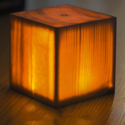 Study Desk Lamp Outdoor Camping Picnic Night