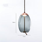 Modern Glass Pendant Chandelier with LED Light