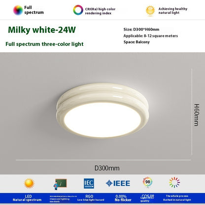 Aisle Light Simple Modern Cloakroom Ceiling Lamp