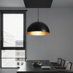 Modern Black Metal Pendant Lamp