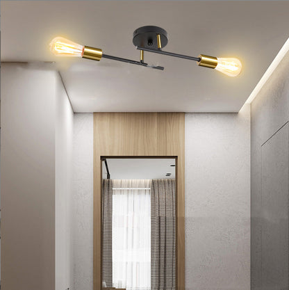 Branch Type Ceiling Lamp Living Room Dining Room Lighting Led Iron Lamp