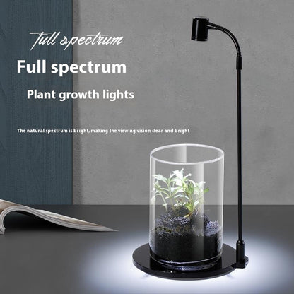 Led Moss Plant Acrylic Fish Tank USB Micro Landscape Glass Flower Container Lamp